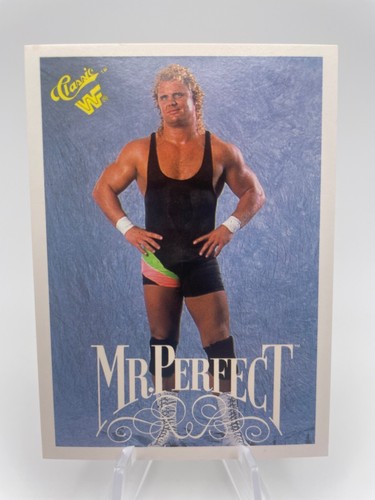 1990 Classic WWF Wrestling TitanSports Cards You Pick Complete Your Set - Picture 38 of 222