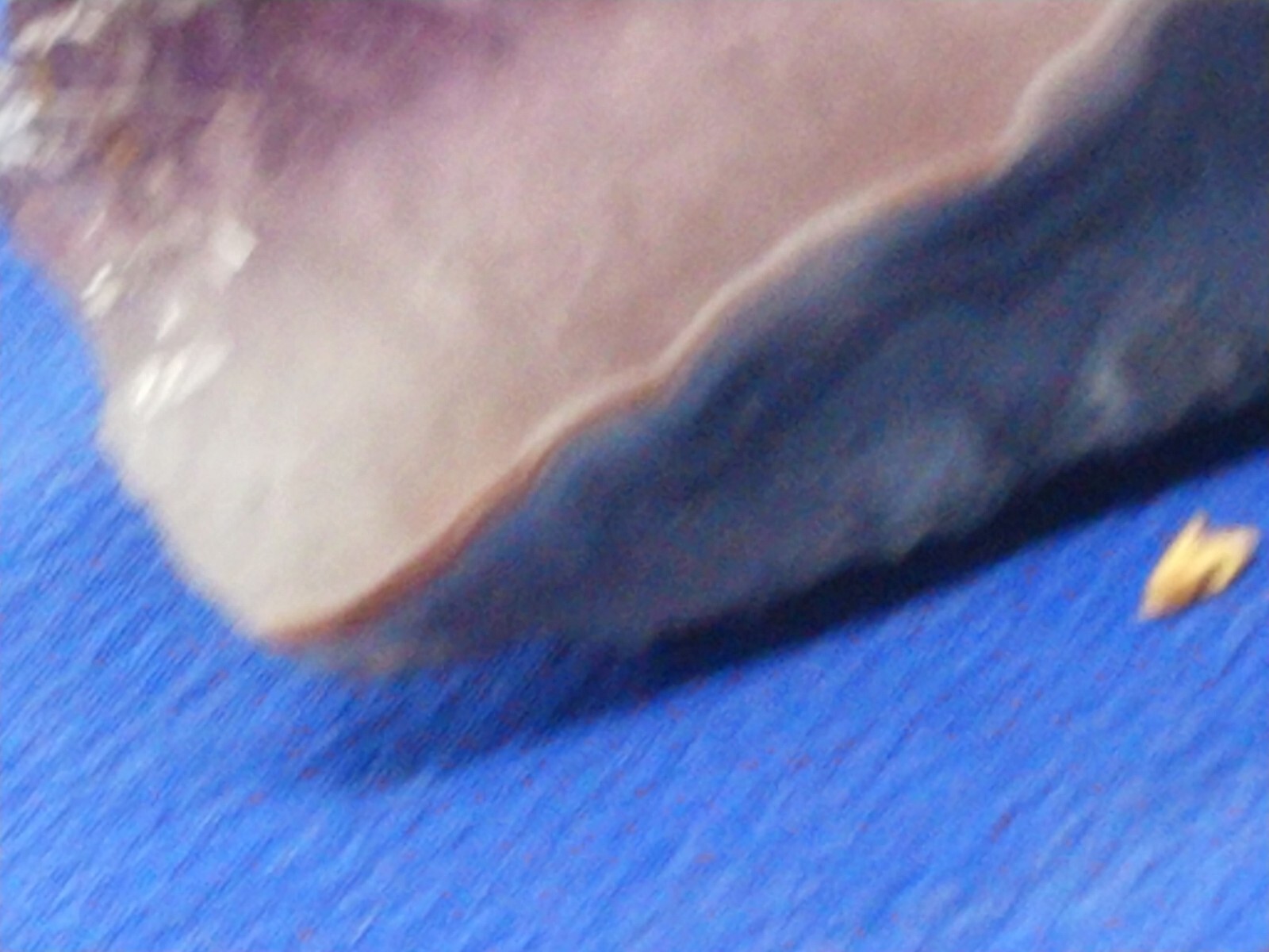 Picture 16 of 24