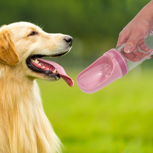 1 Stück Outdoor Tragbare Wasserflasche Entzückende Haustier Trinkwasser Feeder (Rosa) - Bild 11 von 12