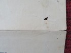 Bild 10 von 11