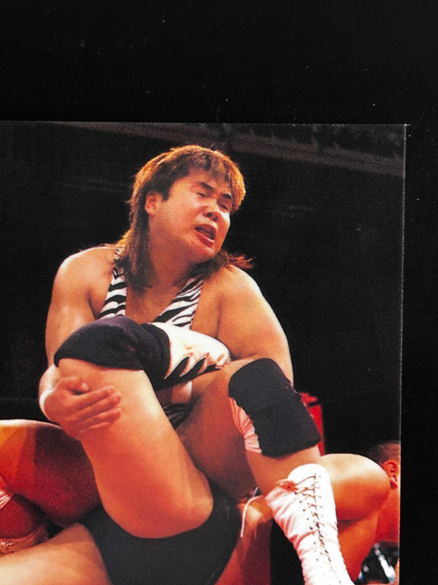 Satoru Shiga Pro Wrestling Card 217 Professional Japanese
