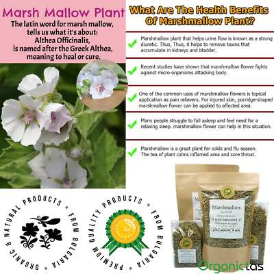 marshmallow tobacco alternative Marshmallow Dried Leaves for Infusion or Smoking, Premium EU Quality 25g -  200g