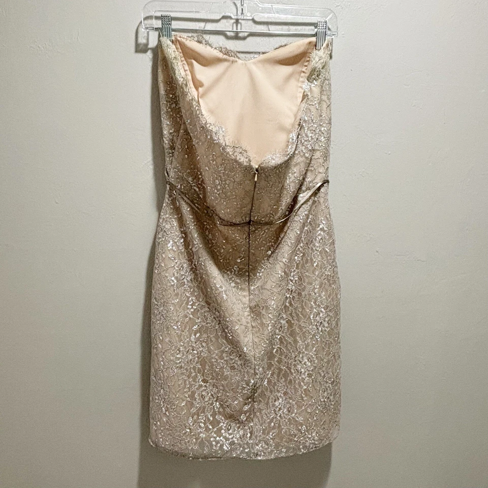 Vestido Formal ALVINA VALENTA MAIDS Para Mujer Beige Plateado Encaje Superpuesto Sin Tirantes 14 Foto 2 de 4