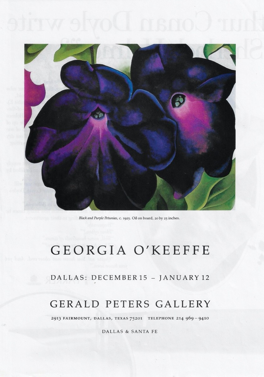 GEORGIA O' KEEFFE c1925 Black & Purple Petunias Art Gallery 1986