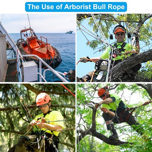 Cuerda de toro arborista, línea de aparejo de polipasto de árbol de poliéster de 100 pies x 5/8", cuerda de toro... - Imagen 3 de 9