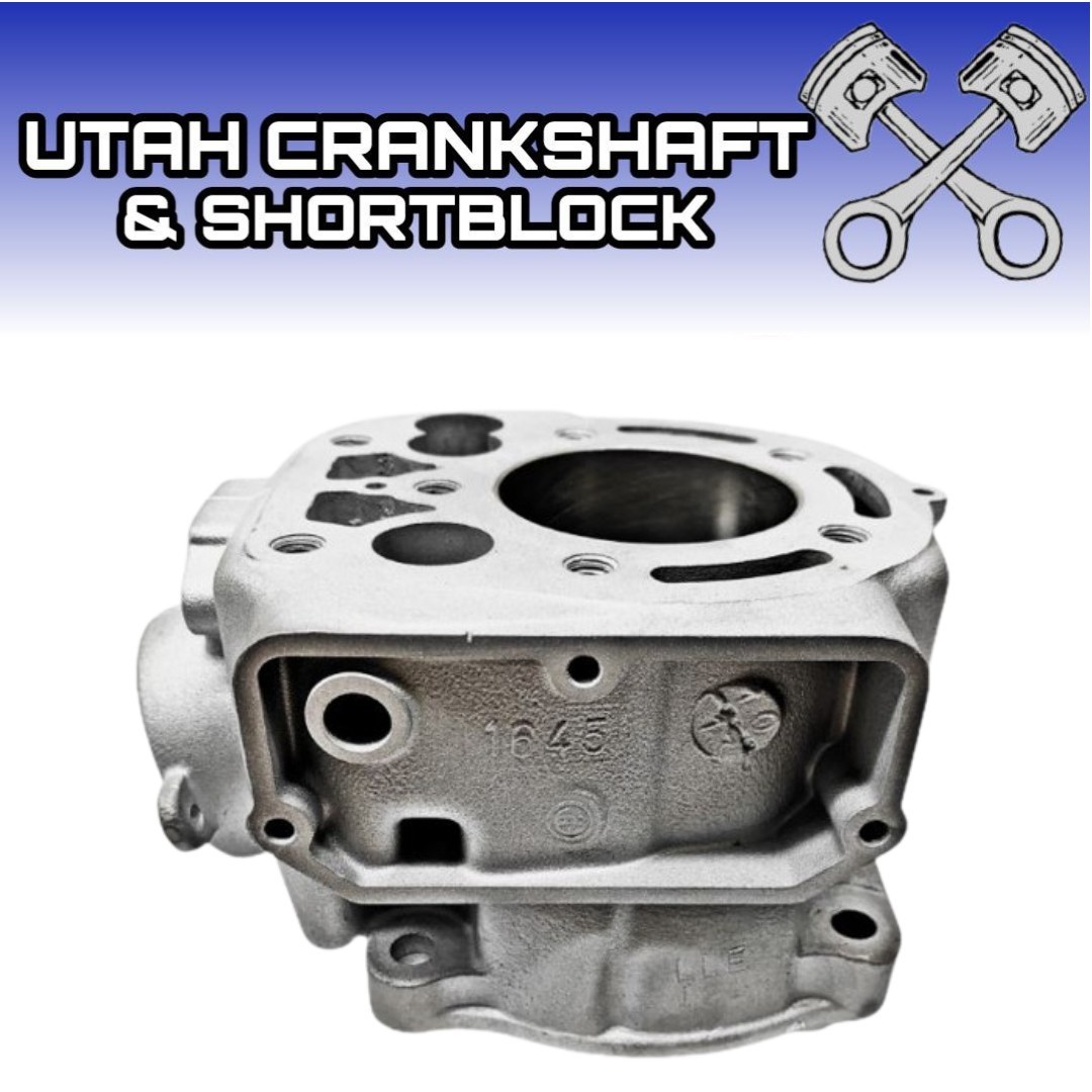 K出品 New Replated STD Bore Kawasaki KX125 Cylinder 1991 11005-1645 kx
