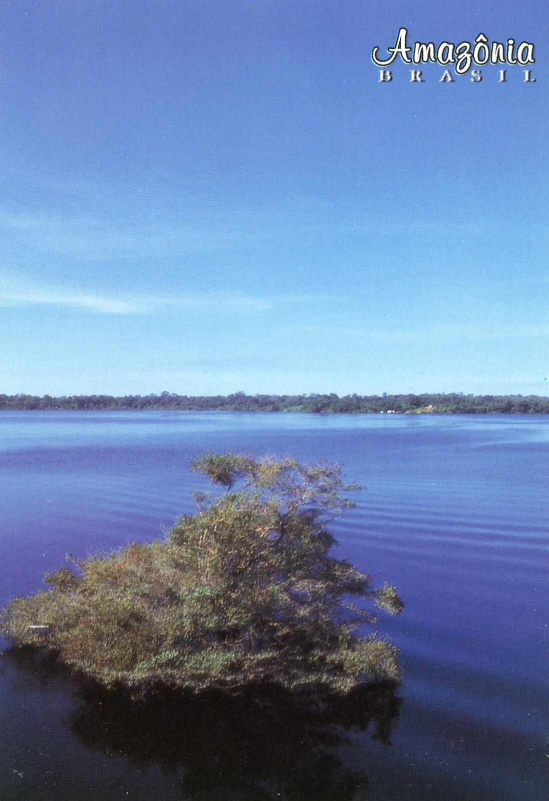 Anavilhanas Archipelago, Near Manaus, Amazonia, Brazil, UNP, VG Cond --POSTCARD