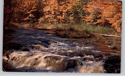 Rushing Waters Scenic Postcard Color by Camera Clix Photochrome