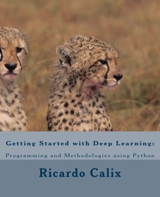 GETTING STARTED WITH DEEP LEARNING: PROGRAMMING AND By Ricardo A Calix BRAND NEW