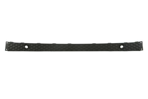 Front BLIC 6502-07-3585911P Trim/Protection Strip, bumper