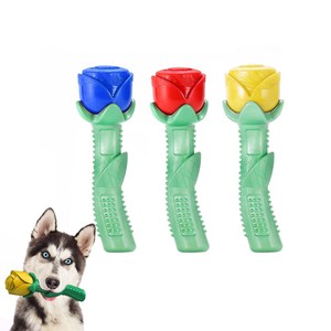 dog toothbrush ebay