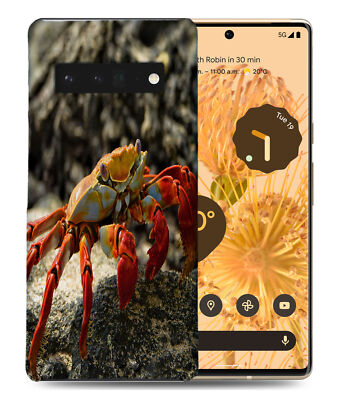 CASE COVER FOR GOOGLE PIXEL|AQUATIC SEA CRAB
