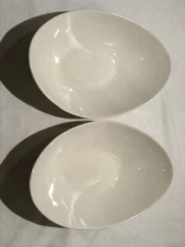 Set of 2 Fortessa Fortaluxe Super White Modern Serving Bowls 9"