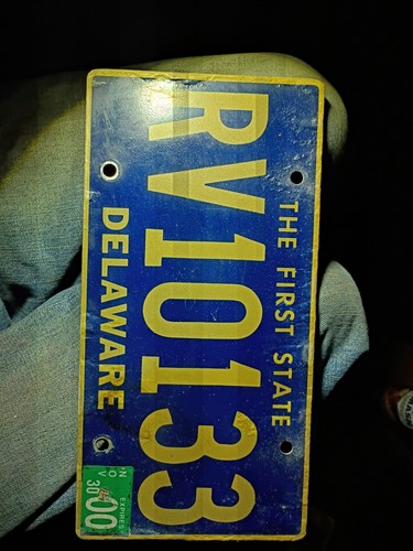 Rare 4- digit RV delaware Tag license plate