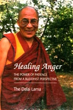 Healing Anger: The Power of Patience from a Buddhist Perspective, Dalai Lama NF