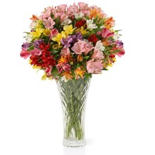 Aquarossa Farms   Flowers for Delivery, Fresh Flowers Bouquet, Handpicked fro...