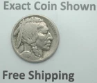 1919 D Buffalo Indian Head Nickel Semi Key Denver Mint Mark