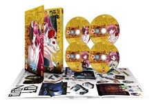 Elfen Lied: Complete Collection  von Jin Ho Chung | DVD | Zustand gut