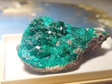 Dioptas xx Kupfersmaragd S.W Afrika Voll Besetzt Top Traum Mineralien Stufe 