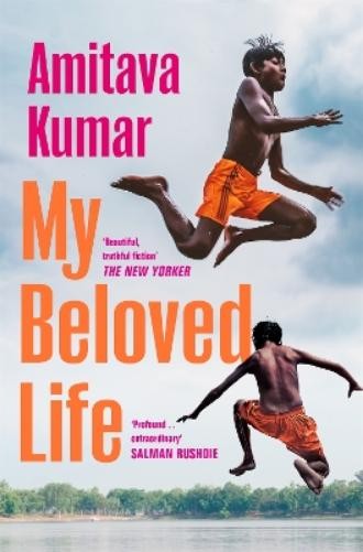 Амитава Кумар Моя любимая жизнь (в мягкой обложке) (ИМПОРТ ИЗ Великобритании)