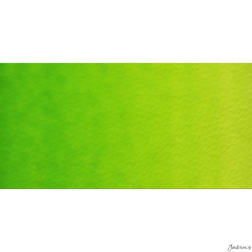Old Holland Classic Watercolour Paint Half Pan Yellow Green For Artists