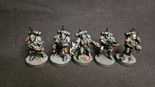 Space Marine  Reivers  Painted  Ready for Battle