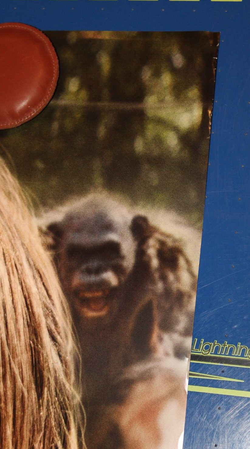 Picture 8 of 8