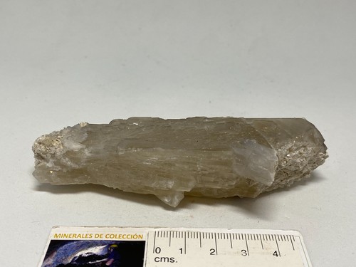 CELESTINA Celestine - Armenta, Orihuela, Alicante SPAIN MINERAL 11x4x3 K31 - Imagen 6 de 7