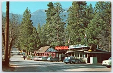Postcard CA Idyllwild California Fern Valley Corners Chef In The Forest P11G