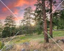 Digital Image Wallpaper Background Desktop Art