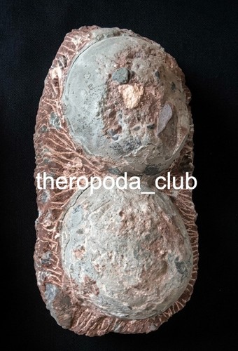 Hadrosaur Egg Pair – Twin Egg Nest Formation – Natural Dinosaur Fossil Display