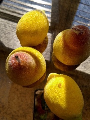 Vintage Beaded Sugared Fruit Christmas Fruit  6pc  2 Pears, 2 lemons 2 oranges