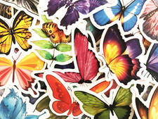 50 Butterfly Sticker Bomb Pack Stickers For Laptops Water Bottles Hydroflasks