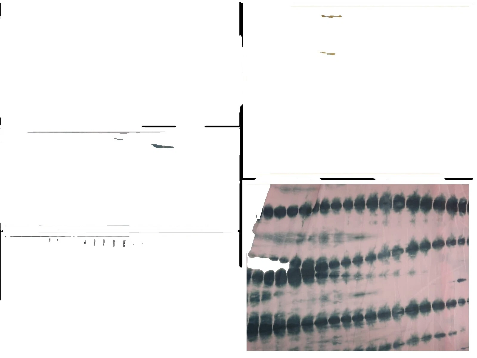 Georgette Tie Dye Apparel-Dress Clothing Craft Fabrics