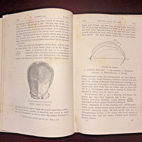 Cambridge geographical series 1896 2nd Ed The History Ancient Geography -Tozer - Picture 9 of 13
