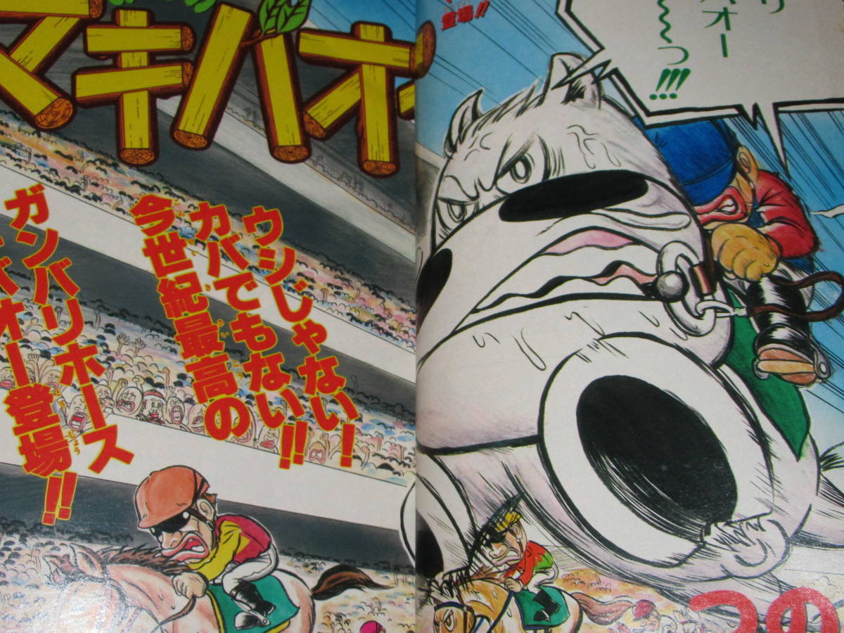 Weekly Shonen Jump 1994 No. 50 MIDORI NO MAKIBAO First Weekly Shonen Jump 1994 No. 50 MIDORI NO MAKIBAO First