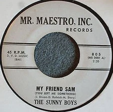 The Sunny Boys (3) - My Friend Sam (You Left Me Something), 7", (Vinyl)