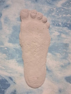 Bıgfoot print Tıtmus Plaster Cast Handmade Sasquatch track