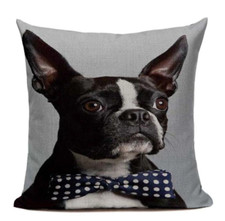 Boston Terrier Bowtie B20 Cushion Pillow Cover French Bulldog Couch Sofa Cute