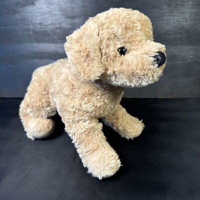 Douglas Golden Retriever Dog Puppy 12