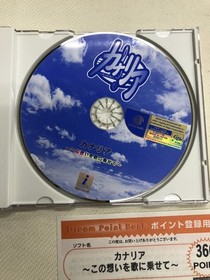 Dreamcast Canary Put these lings ina condition Japan O2