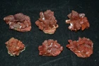 Red Heulandite stilbite lot 6 Nos mineral specimen India #2505