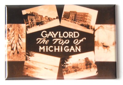 Gaylord Michigan FRIDGE MAGNET ''style C'' travel souvenir