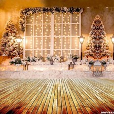 10'x10'Computer-painted CP Winter/Christmas Scenic background backdrop BHF1633