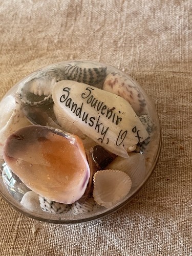 Victorian Edwardian Shell Seashell Glass Dome Paperweight Souvenir Sandusky Ohio - Picture 3 of 5