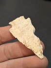 Arrowhead Artifact from Clay County Georgia  — photo 6