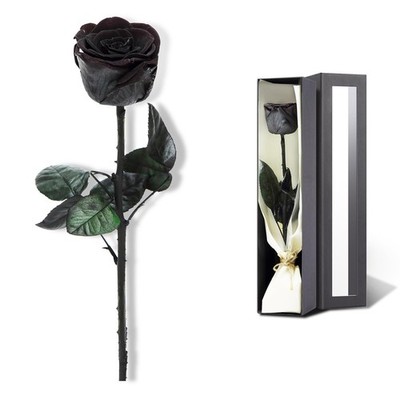 Black Preserved Roses for Delivery - Single Flower Gifts for Her