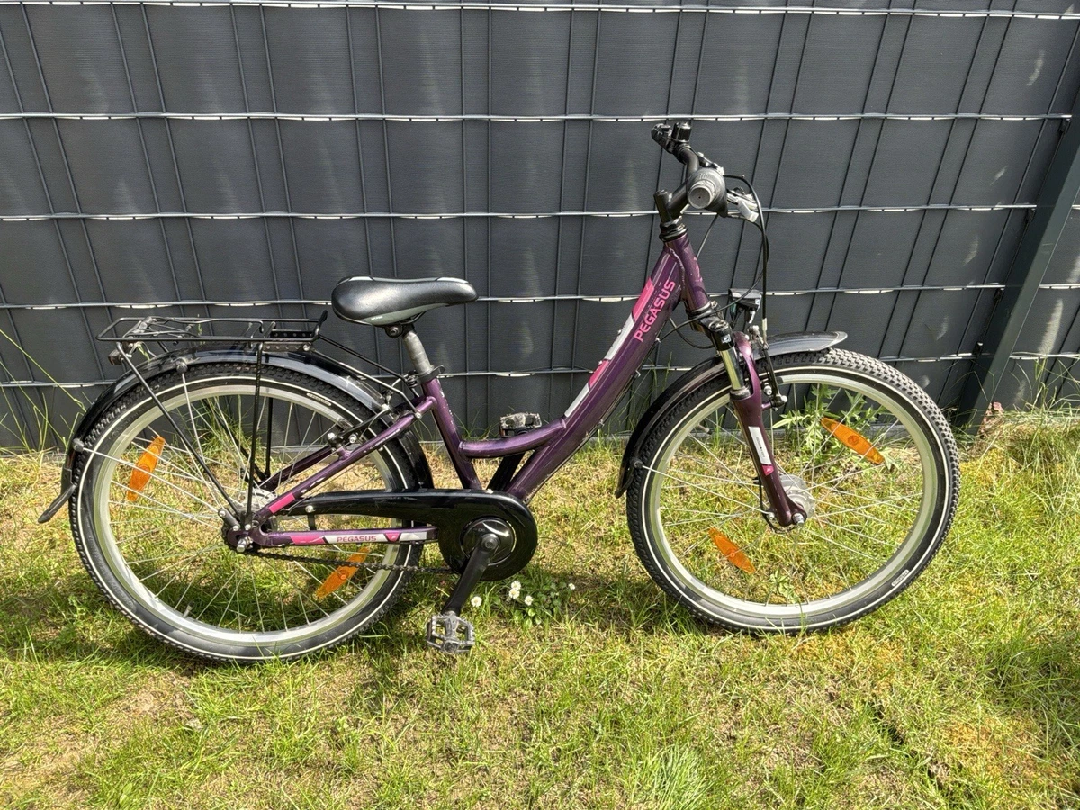 Pegasus Fahrrder mit 24 Zoll Schutzbleche online kaufen | eBay.de
