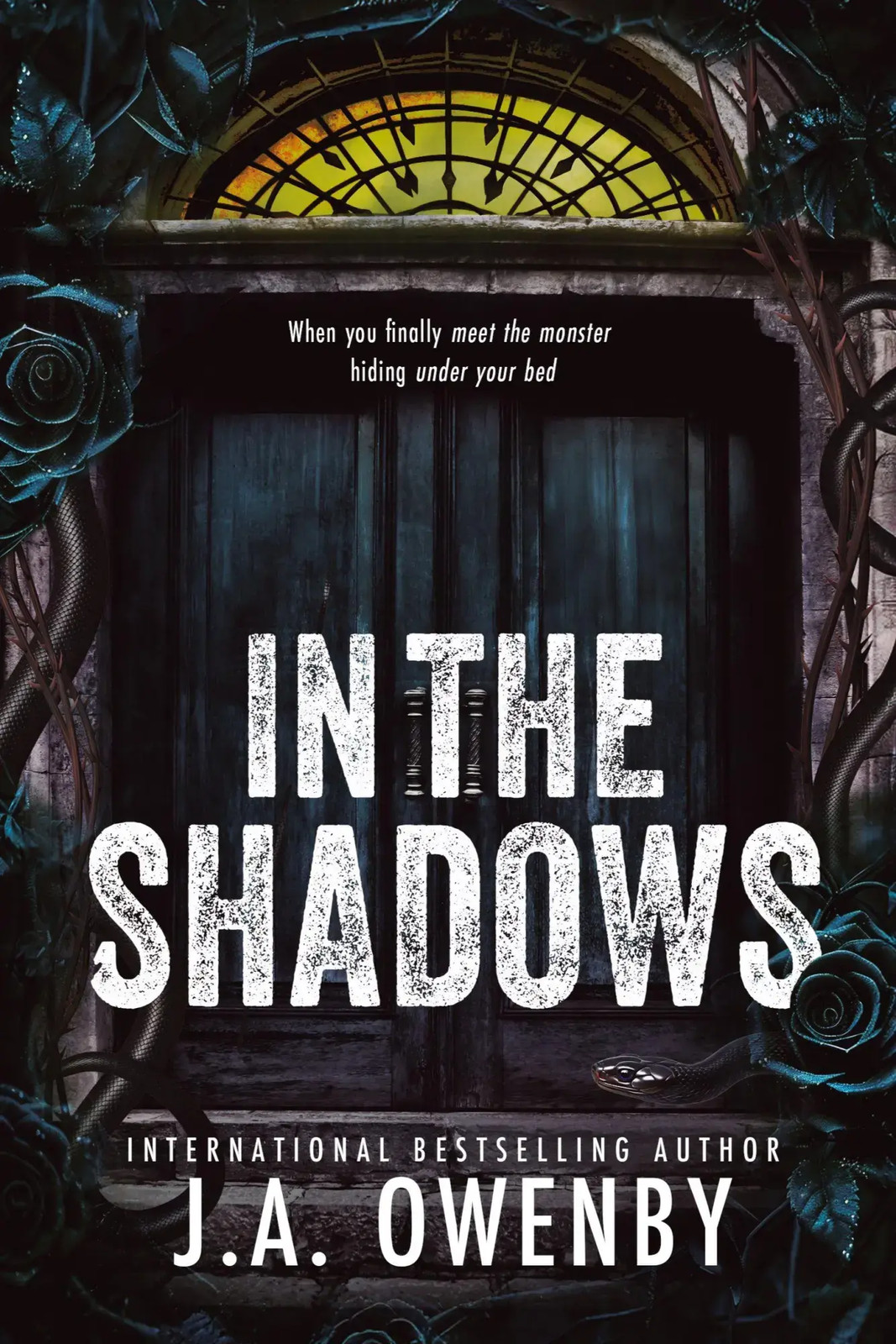 J. A. Owenby | In the Shadows | Taschenbuch | Englisch (2025)