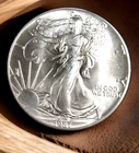 1987 SILVER EAGLE Coin- 1oz .999 Pure  PRICES ARE UP &CLIMBING - GET YOURS NOW!!